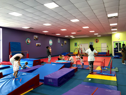 The Little Gym of Houston-Bellaire - 8415 Stella Link Rd, Houston, TX 77025