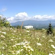Pond Mountain Game Lands