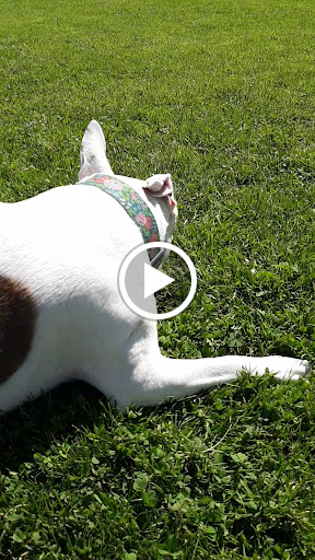 Park «Rocky Butte Park», reviews and photos, NE Rocky Butte Rd, Portland, OR 97220, USA