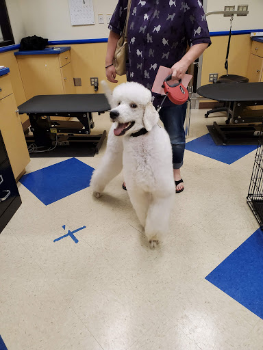 Pet Supply Store «Petsense London», reviews and photos, 1661 KY-192, London, KY 40741, USA