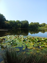 Stillwater Lake, nature reserve