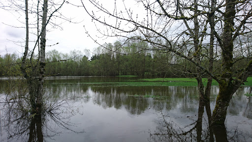 Golf Course «Willows Run Golf Complex», reviews and photos, 10402 Willows Rd, Redmond, WA 98052, USA