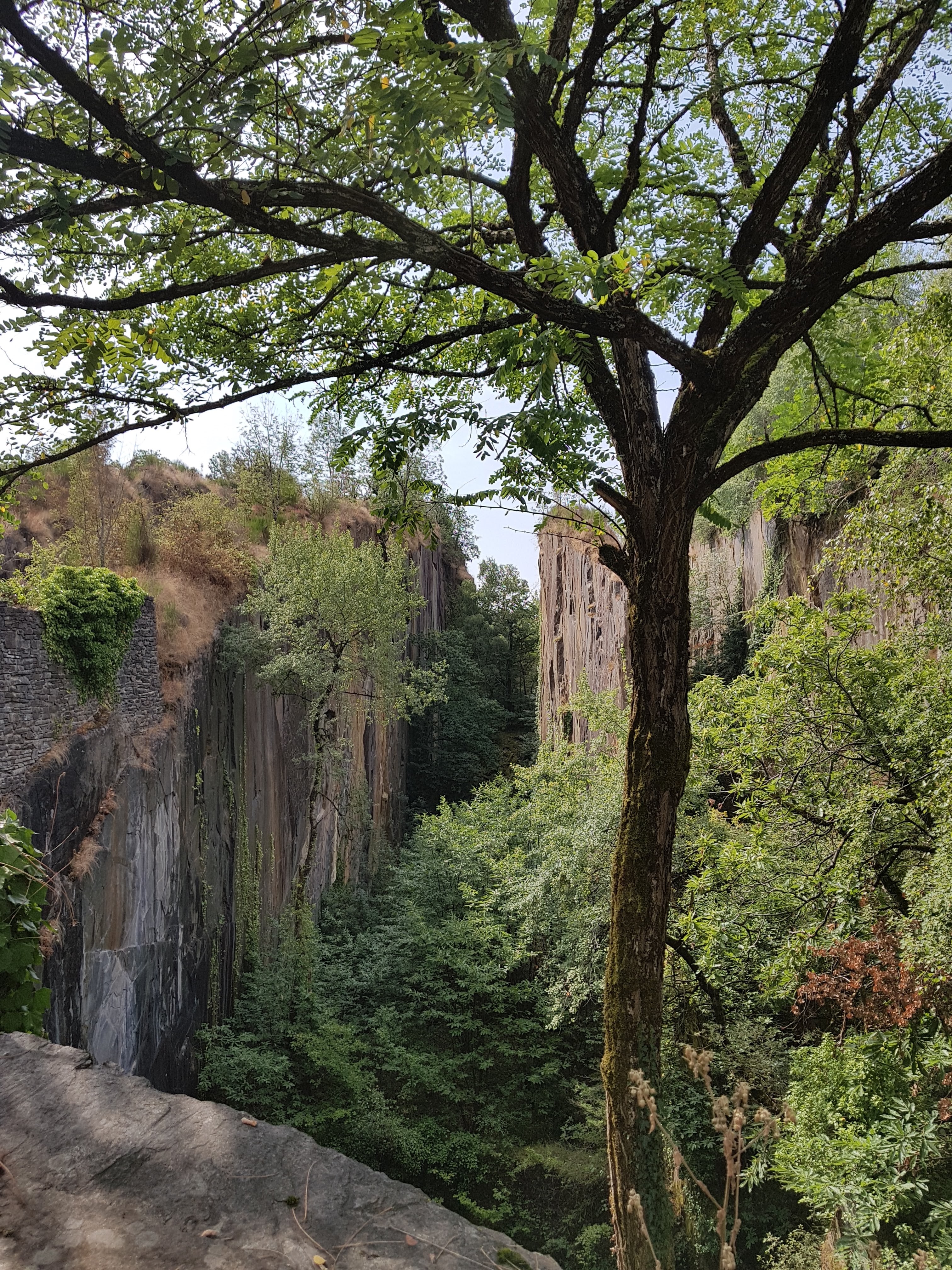 Photo n° 6 de l'avis de laurent. fait le 10/08/2019 à 16:49