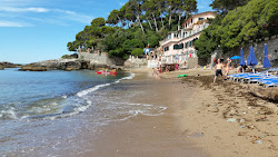Photo de Spiaggia Fiascherino avec baie spacieuse