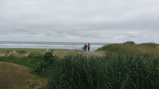 Grocery Store «Theresa Family Market», reviews and photos, 1170 S Hemlock St, Cannon Beach, OR 97110, USA