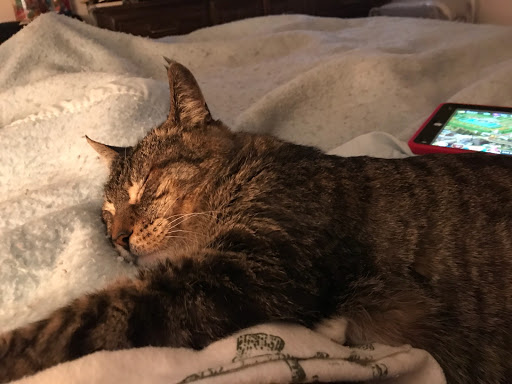 Computer Repair Service «ABCD Computers Home Service-17yrs in las Vegas», reviews and photos, 6625 Navio Dr, Las Vegas, NV 89103, USA