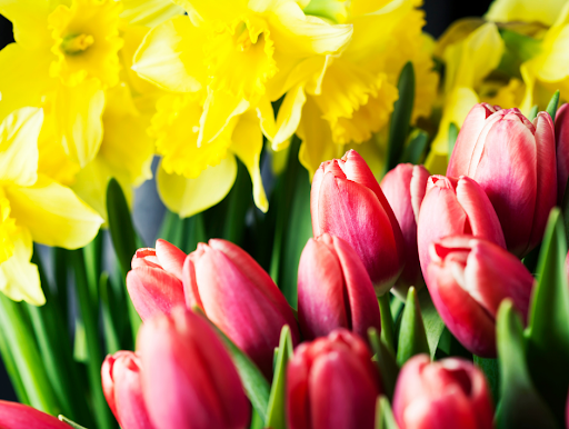 Florist «Country Garden Florist», reviews and photos, 9559 US-42, Prospect, KY 40059, USA