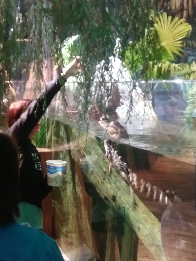 Aquarium «The River Center», reviews and photos, 805 US-1, Jupiter, FL 33477, USA