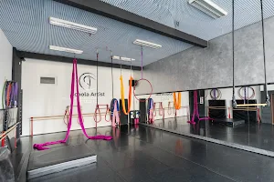 Schola Artist - Pole - Aerial - Dance & Yoga studio image