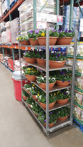 Warehouse store «Costco Wholesale», reviews and photos, 218 Lower Mountain View Dr, Colchester, VT 05446, USA