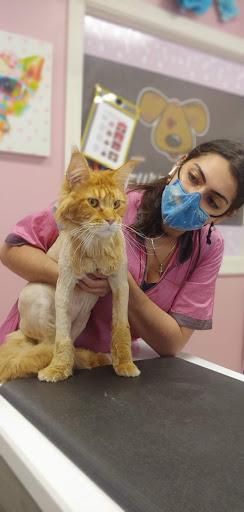 Pet Groomer «Furry Tails Pet Grooming», reviews and photos, 865 Cypress Pkwy, Poinciana, FL 34759, USA