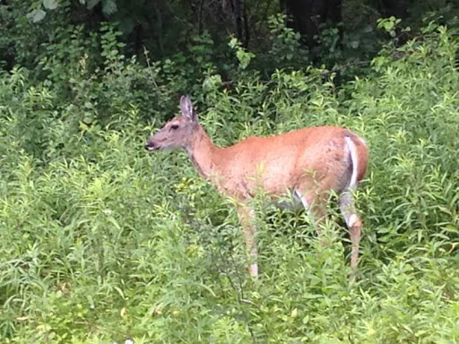 Archery Store «A-1 Archery», reviews and photos, 587 Lenertz Rd, Hudson, WI 54016, USA