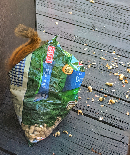 Pet Supply Store «Petco Animal Supplies», reviews and photos, 3194 FM407, Highland Village, TX 75077, USA