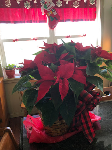 Florist «Beachwood Florist», reviews and photos, 325 New Haven Ave, Milford, CT 06460, USA