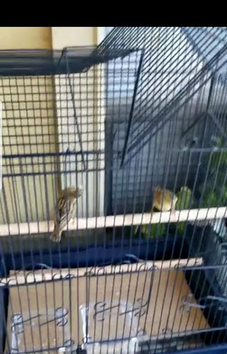 Pet Store «Fish-N-Pets Unlimited», reviews and photos, 11710 Bissonnet St, Houston, TX 77099, USA