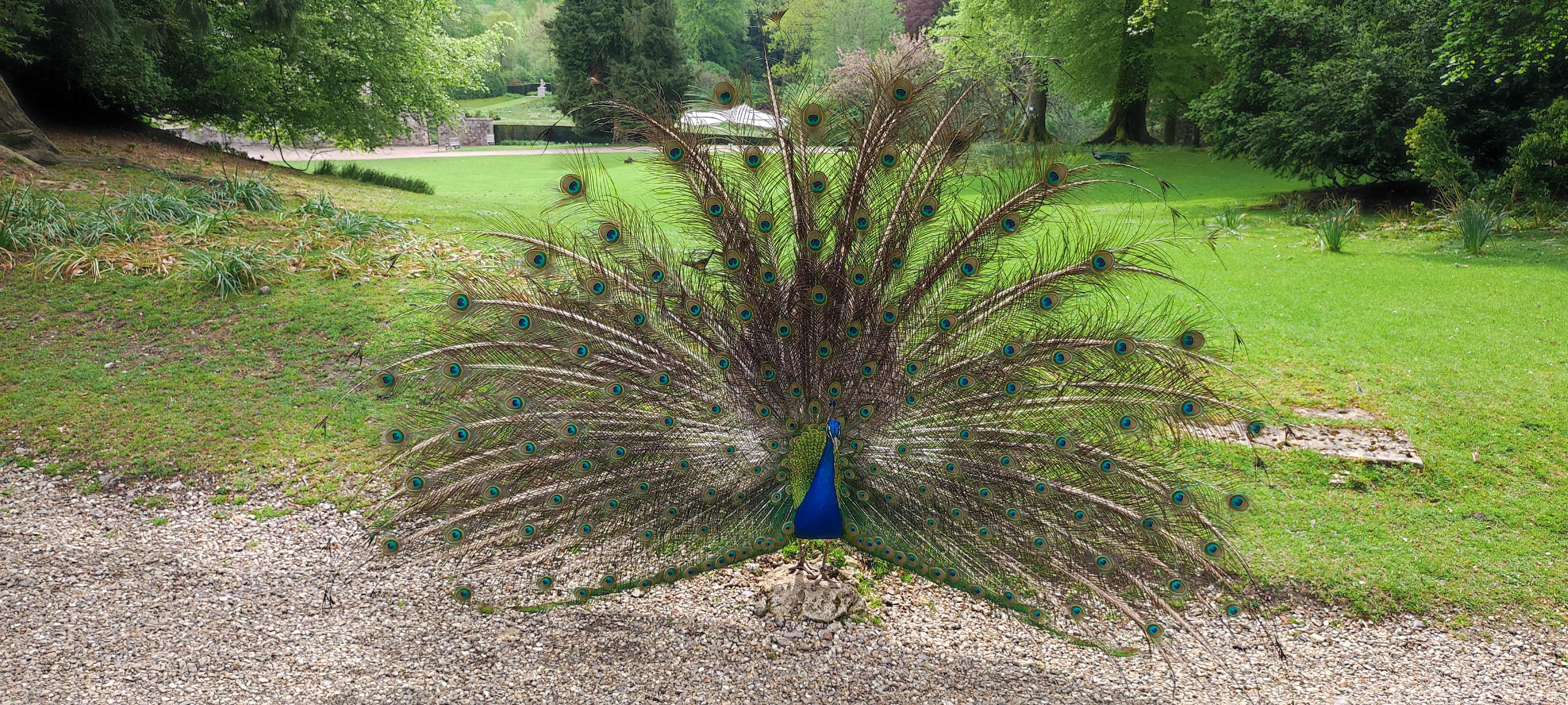 Photo n° 1 de l'avis de Alain.. fait le 08/05/2023 à 13:10