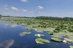 The Danube Delta image