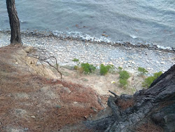 Dikiy Beach'in fotoğrafı dağlarla çevrili
