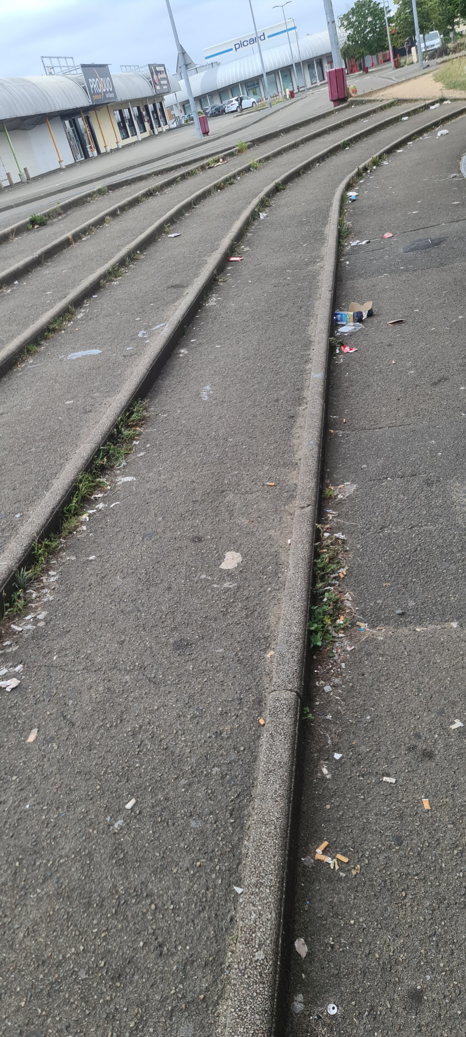 Photo n° 7 de l'avis de Shel.f fait le 20/04/2019 à 13:23