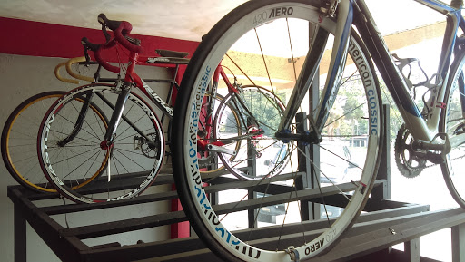 «Ten Speed Drive Bicycle Center», reviews and photos, 3428 S Hopkins Ave, Titusville, FL 32780, USA