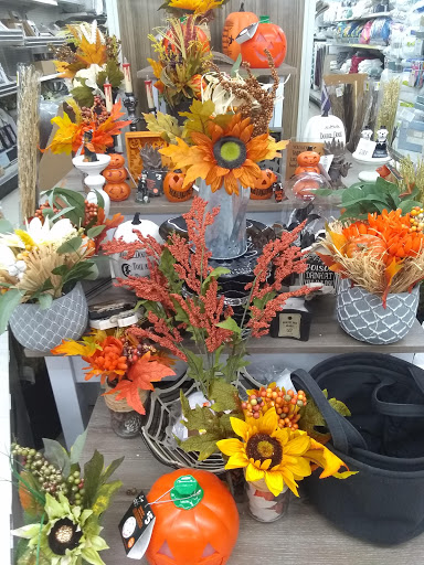 Discount Store «Dollar General», reviews and photos, 31550 FM306, Spring Branch, TX 78070, USA