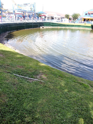 Theme Park «Fun Spot America Theme Parks-Kissimmee», reviews and photos, 2850 Florida Plaza Blvd, Kissimmee, FL 34746, USA