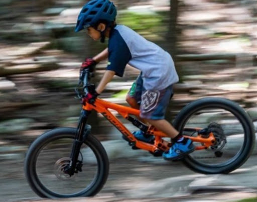 Bicycle Store «Bingham Cyclery», reviews and photos, 1895 Washington Blvd, Ogden, UT 84401, USA