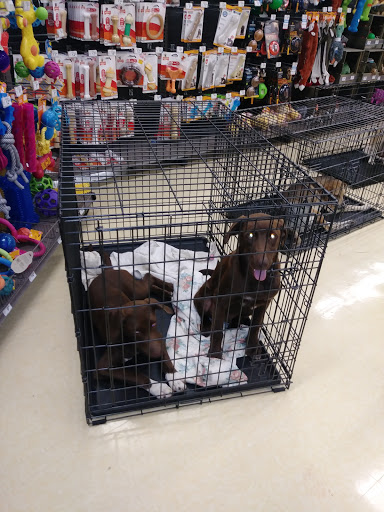 Pet Supply Store «Petco Animal Supplies», reviews and photos, 300 Quaker Ln #3, Warwick, RI 02886, USA