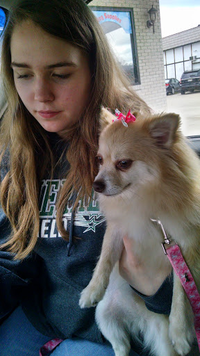 Pet Groomer «Belly scRubs Self Service Pet Wash», reviews and photos, 119 WV-34 #1, Hurricane, WV 25526, USA