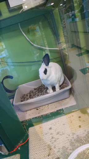 Pet Supply Store «Pet Supplies Plus», reviews and photos, 2057 S Telegraph Rd, Bloomfield Hills, MI 48302, USA