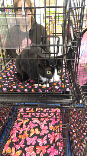 Pet Supply Store «Pet Supplies Plus», reviews and photos, 2480 Albany Ave, West Hartford, CT 06117, USA