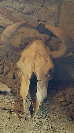 Castle «Mystery Castle», reviews and photos, 800 E Mineral Rd, Phoenix, AZ 85042, USA