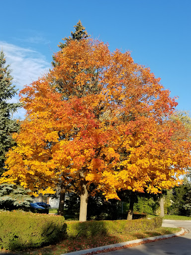 Park «Richard E Johns Park», reviews and photos, 2101 Central Rd, Glenview, IL 60025, USA