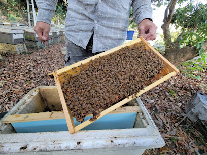 鲜蜂蜂蜜 FRESHONEY