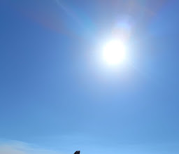 Restaurante El Moroncito photo