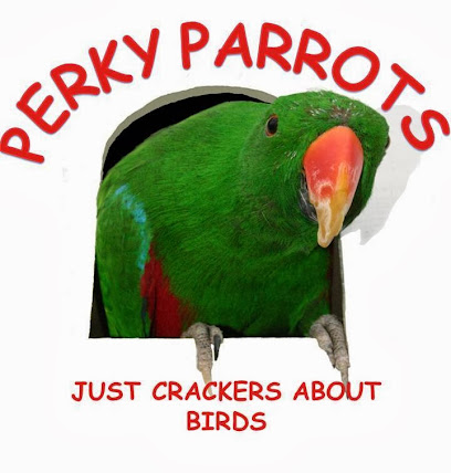 Perky Parrots Ltd