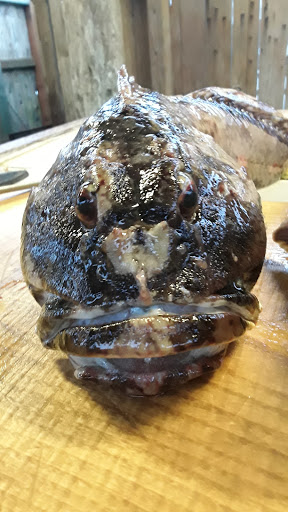 Sporting Goods Store «Rogue Outdoor Store», reviews and photos, 29865 Ellensburg Ave, Gold Beach, OR 97444, USA