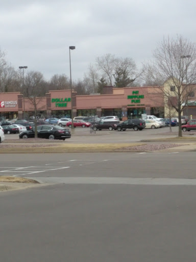 Dollar Store «Dollar Tree», reviews and photos, 951 Co Rd E East, Vadnais Heights, MN 55127, USA