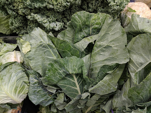 Grocery Store «Food Lion», reviews and photos, 1045 N Fraser St, Georgetown, SC 29440, USA