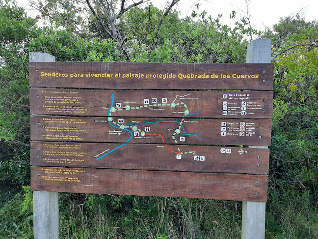 Camino Quebrada De Los Cuervos km. 25, Departamento de Treinta y Tres, Uruguay