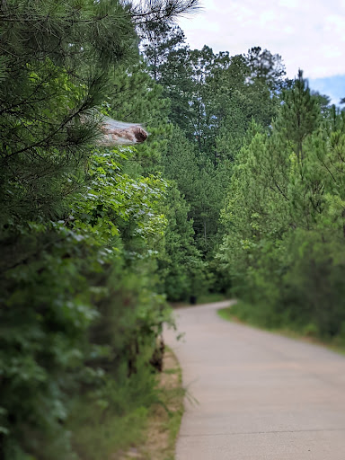 Park «Big Creek Park», reviews and photos, 1600 Old Alabama Rd, Roswell, GA 30076, USA