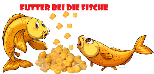 Futter bei die Fische GbR unter Schwäbisch Gmünd, 