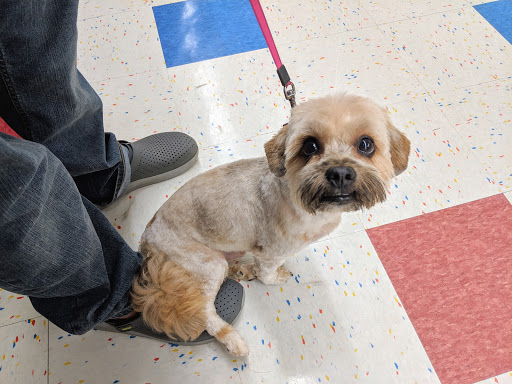 Pet Supply Store «Petco Animal Supplies», reviews and photos, 9 W Avon Rd, Avon, CT 06001, USA