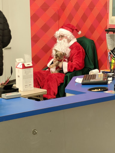 Pet Supply Store «Petco Animal Supplies», reviews and photos, 2230 Marlton Pike W #3, Cherry Hill, NJ 08002, USA