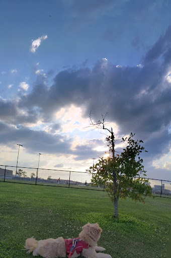 Dog Park «Bay Park Dog Park», reviews and photos, 2 Marjorie Ln, East Rockaway, NY 11518, USA