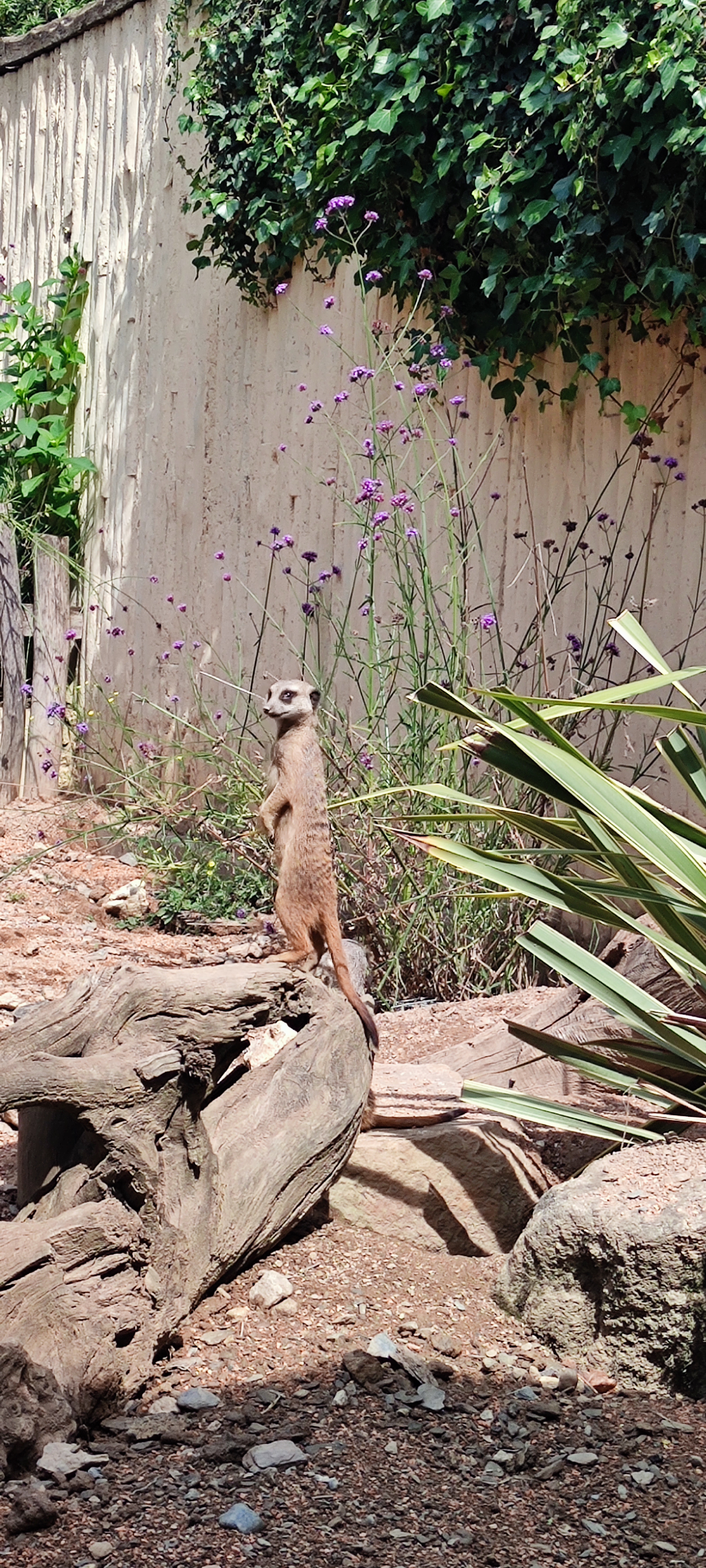 Photo n° 6 de l'avis de sandrine.e fait le 11/06/2022 à 19:03