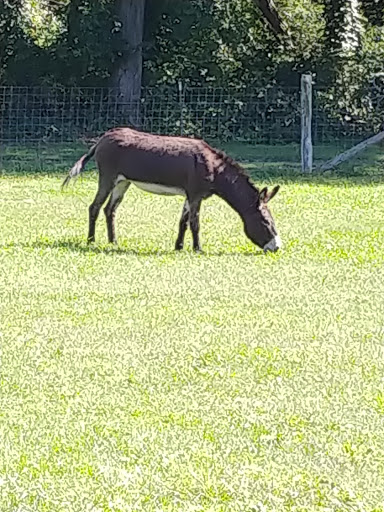  «Mt Hope Farm», reviews and photos, 250 Metacom Ave, Bristol, RI 02809, USA