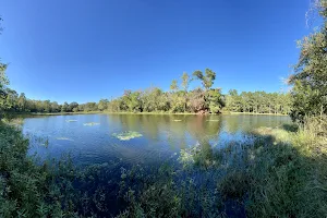 Spring Trails Preserve image