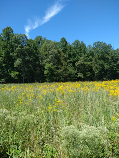 Battle Site «Spotsylvania Court House Battlefield», reviews and photos, 9550 Grant Dr, Spotsylvania, VA 22553, USA