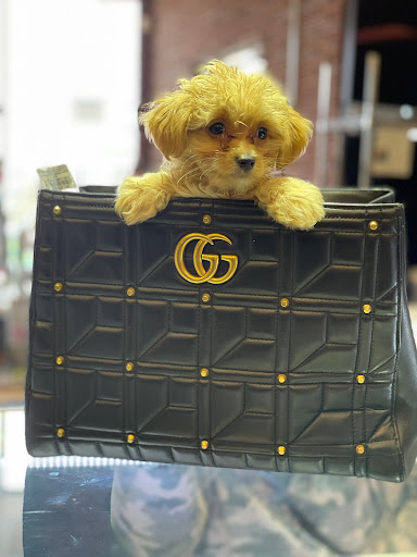 Loan Agency «Mister Money USA», reviews and photos, 1525 8th Ave, Greeley, CO 80631, USA